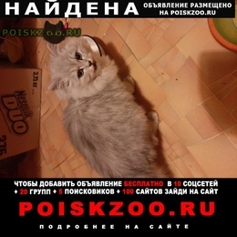 Подробнее об объявлении «Ангарск Найдена кошка» Фото: найдена кошка  «Ангарск Найдена кошка» в г. Ангарск