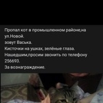 Подробнее об объявлении «Пропал кот Оренбург» Фото: пропала кошка  «Пропал кот Оренбург» в г. Оренбург
