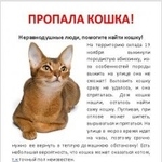 Подробнее об объявлении «Москва Пропала кошка ростокино, вднх абиссинка» Фото: пропала кошка Абиссинская «Москва Пропала кошка ростокино, вднх абиссинка» в г. Москва