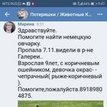 Подробнее об объявлении «Краснодар Пропала собака» Фото: пропала собака Немецкая овчарка «Краснодар Пропала собака» в г. Краснодар
