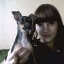 Подробнее об объявлении «Санкт-Петербург Пропала собака кобель» Фото: пропала собака  «Санкт-Петербург Пропала собака кобель» в г. Санкт-Петербург