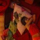 Подробнее об объявлении «Пропала собака кобель ёрыш Правдинский» Фото: пропала собака Йоркширский терьер «Пропала собака кобель ёрыш Правдинский» в г. Правдинский