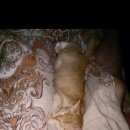 Подробнее об объявлении «Пропал кот помогите найти кота Железнодорожный (Московск.)» Фото: пропала кошка  «Пропал кот помогите найти кота Железнодорожный...» в г. Железнодорожный (Московск.)