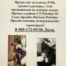 Подробнее об объявлении «Рублево Пропала собака кобель пёс» Фото: пропала собака  «Рублево Пропала собака кобель пёс» в г. Рублево