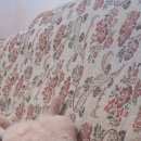 Подробнее об объявлении «Пропал кот Верхняя Пышма» Фото: пропала кошка  «Пропал кот Верхняя Пышма» в г. Верхняя Пышма