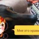 Подробнее об объявлении «Пропала собака кобель таксы Шахты» Фото: пропала собака Такса «Пропала собака кобель таксы Шахты» в г. Шахты