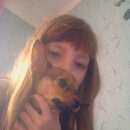 Подробнее об объявлении «Омск Пропала собака кобель добрые люди помогитие найти» Фото: пропала собака Той-терьер «Омск Пропала собака кобель добрые люди...» в г. Омск