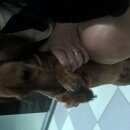 Подробнее об объявлении «Найдена собака кобель Ростов-на-Дону» Фото: найдена собака Такса «Найдена собака кобель Ростов-на-Дону» в г. Ростов-на-Дону