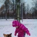 Подробнее об объявлении «Пропала собака кобель вася, рыжий. Санкт-Петербург» Фото: пропала собака Шелти «Пропала собака кобель вася, рыжий. Санкт-Петербург» в г. Санкт-Петербург