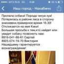 Подробнее об объявлении «Нахабино Пропала собака» Фото: пропала собака Чихуахуа «Нахабино Пропала собака» в г. Нахабино