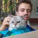 Подробнее об объявлении «Химки Найдена кошка тайская» Фото: найдена кошка Тайская «Химки Найдена кошка тайская» в г. Химки