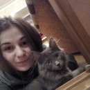 Подробнее об объявлении «Красноярск Пропала кошка кошечка» Фото: пропала кошка  «Красноярск Пропала кошка кошечка» в г. Красноярск