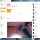 Подробнее об объявлении «Пропал кот украли кота помогите Томск» Фото: пропала кошка Канадский сфинкс «Пропал кот украли кота помогите Томск» в г. Томск