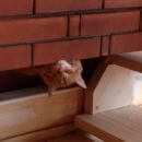 Подробнее об объявлении «Нижний Новгород Пропал кот» Фото: пропала кошка  «Нижний Новгород Пропал кот» в г. Нижний Новгород