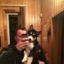 Подробнее об объявлении «Пропала собака селятино Алабино» Фото: пропала собака  «Пропала собака селятино Алабино» в г. Алабино