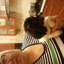 Подробнее об объявлении «Белгород Найдена собака» Фото: найдена собака  «Белгород Найдена собака» в г. Белгород