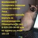 Подробнее об объявлении «Пропала кошка Пермь» Фото: пропала кошка Сиамская «Пропала кошка Пермь» в г. Пермь