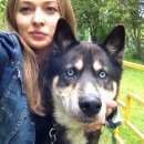 Подробнее об объявлении «Коломна Пропала собака кобель хаски» Фото: пропала собака Сибирская хаски «Коломна Пропала собака кобель хаски» в г. Коломна