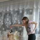 Подробнее об объявлении «Пропала собака и 2 собаки Ульяновск» Фото: пропала собака Голден ретривер «Пропала собака и 2 собаки Ульяновск» в г. Ульяновск