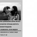 Подробнее об объявлении «Ульяновск Пропал хорек» Фото: пропало другое животное  «Ульяновск Пропал хорек» в г. Ульяновск