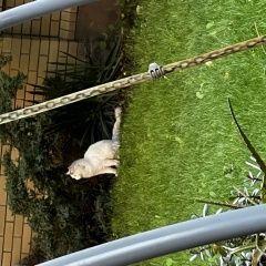 ����: ������� �����  �������� ������ ��� ����� ����� � �. �������
