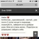 Подробнее об объявлении «Найдена кошка котик(кошка) Нижний Новгород» Фото: найдена кошка  «Найдена кошка котик(кошка) Нижний Новгород» в г. Нижний Новгород