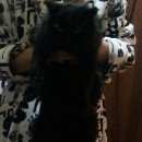 Подробнее об объявлении «Ставрополь Найден кот ищем хозяина» Фото: найдена кошка  «Ставрополь Найден кот ищем хозяина» в г. Ставрополь