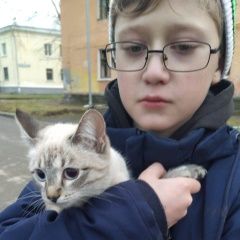 Подробнее об объявлении «Екатеринбург Найдена кошка» Фото: найдена кошка  «Екатеринбург Найдена кошка» в г. Екатеринбург