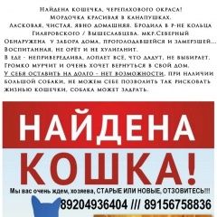 Подробнее об объявлении «Найдена кошка очень ласковая потеряшка Тамбов» Фото: найдена кошка  «Найдена кошка очень ласковая потеряшка Тамбов» в г. Тамбов
