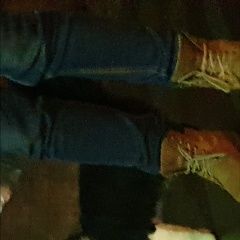 Подробнее об объявлении «Жуковский Найден кот ( может и кошка)» Фото: найдена кошка  «Жуковский Найден кот ( может и кошка)» в г. Жуковский