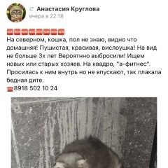Подробнее об объявлении «Найдена кошка Ростов-на-Дону» Фото: найдена кошка  «Найдена кошка Ростов-на-Дону» в г. Ростов-на-Дону