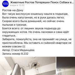 Подробнее об объявлении «Найдена кошка Ростов-на-Дону» Фото: найдена кошка  «Найдена кошка Ростов-на-Дону» в г. Ростов-на-Дону