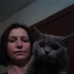 Подробнее об объявлении «Липецк Найдена кошка» Фото: найдена кошка  «Липецк Найдена кошка» в г. Липецк