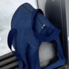 Подробнее об объявлении «Химки Найдена кошка в переноске на остановке» Фото: найдена кошка  «Химки Найдена кошка в переноске на остановке» в г. Химки