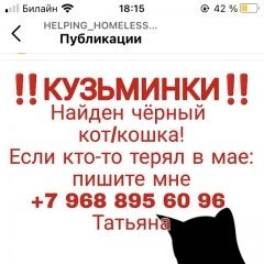 Подробнее об объявлении «Найдена кошка или кот чёрный Москва» Фото: найдена кошка  «Найдена кошка или кот чёрный Москва» в г. Москва