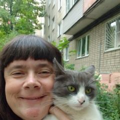 Картинка найдена кошка В городе Ярославль замечена киска. Ярославль