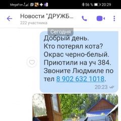 Подробнее об объявлении «Найден кот ищет хозяина Пермь» Фото: найдена кошка  «Найден кот ищет хозяина Пермь» в г. Пермь