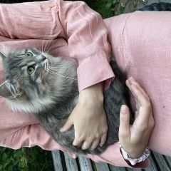 Подробнее об объявлении «Москва Найден кот, район измайлово» Фото: найдена кошка  «Москва Найден кот, район измайлово» в г. Москва