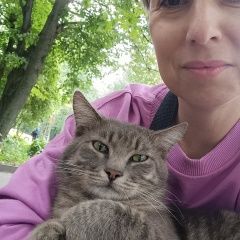 Подробнее об объявлении «Найден кот серый холеный Москва» Фото: найдена кошка  «Найден кот серый холеный Москва» в г. Москва