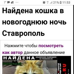 Подробнее об объявлении «Ставрополь Найдена кошка светло-рыжая с белым» Фото: найдена кошка  «Ставрополь Найдена кошка светло-рыжая с белым» в г. Ставрополь