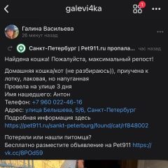 Подробнее об объявлении «Найдена кошка Санкт-Петербург» Фото: найдена кошка  «Найдена кошка Санкт-Петербург» в г. Санкт-Петербург