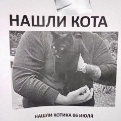 Подробнее об объявлении «Найдена кошка кот Москва» Фото: найдена кошка  «Найдена кошка кот Москва» в г. Москва