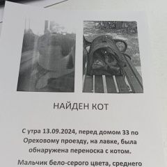 Подробнее об объявлении «Найден кот нашли кота в переноске Москва» Фото: найдена кошка  «Найден кот нашли кота в переноске Москва» в г. Москва