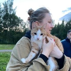 Подробнее об объявлении «Найден кот Санкт-Петербург» Фото: найдена кошка  «Найден кот Санкт-Петербург» в г. Санкт-Петербург