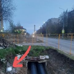 Подробнее об объявлении «Дубна Найдена кошка обнаружена кошка» Фото: найдена кошка  «Дубна Найдена кошка обнаружена кошка» в г. Дубна
