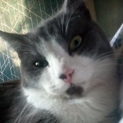 ����: ������� �����  ������������ ������ ��� ������� ���, �� ������...� � �. �����������