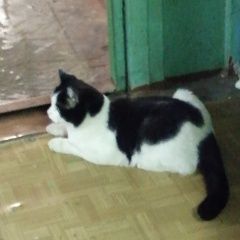 ����: ������� �����  �������� ����� ������ ��� ���������� � �. ����������