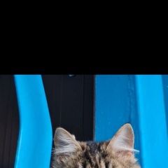 ����: ������� �����  �������� ����� ���������� � �. ���������