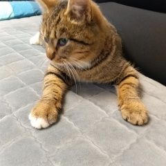 ����: ������� �����  ���������� ������ ��� � �. ���������