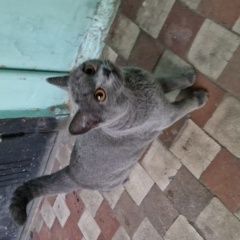 ����: ������� �����  �������� ����� ������� � �. �������